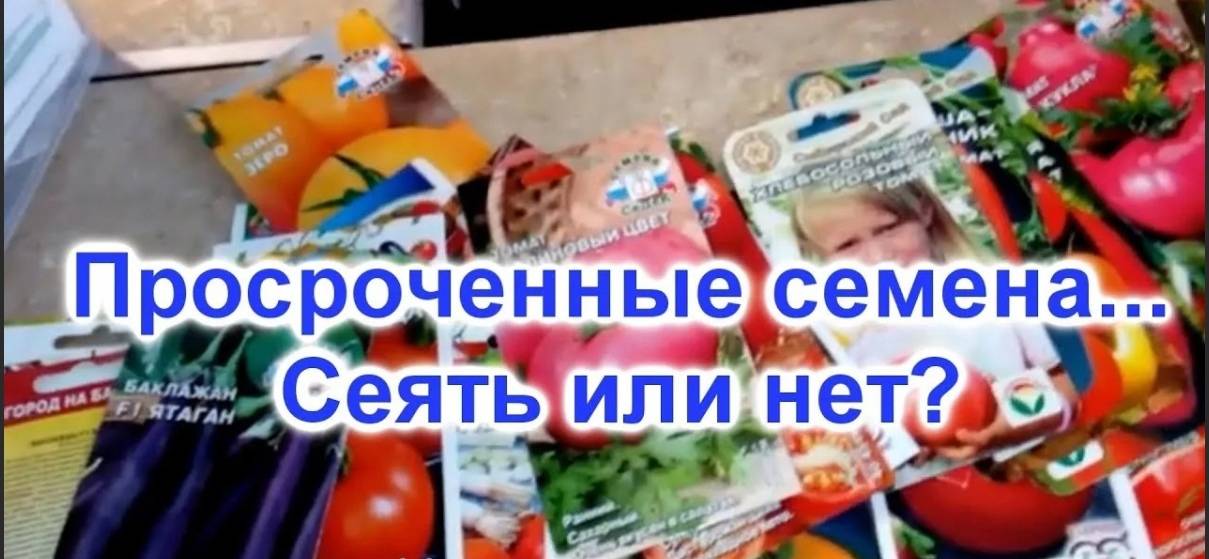 Как оживить просроченные семена? | строительный портал