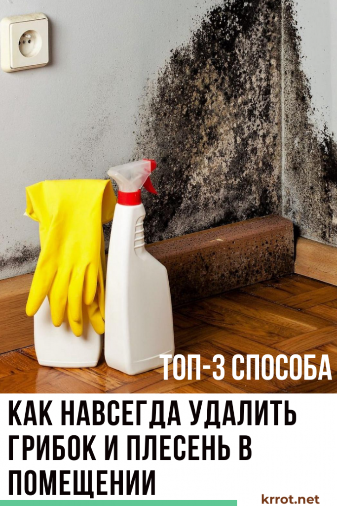 Как предотвратить сырость и справиться с повышенной влажностью воздуха в квартирах на первых и последних этажах