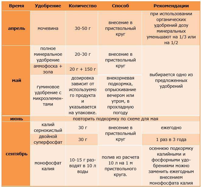 Схема подкормки плодовых деревьев