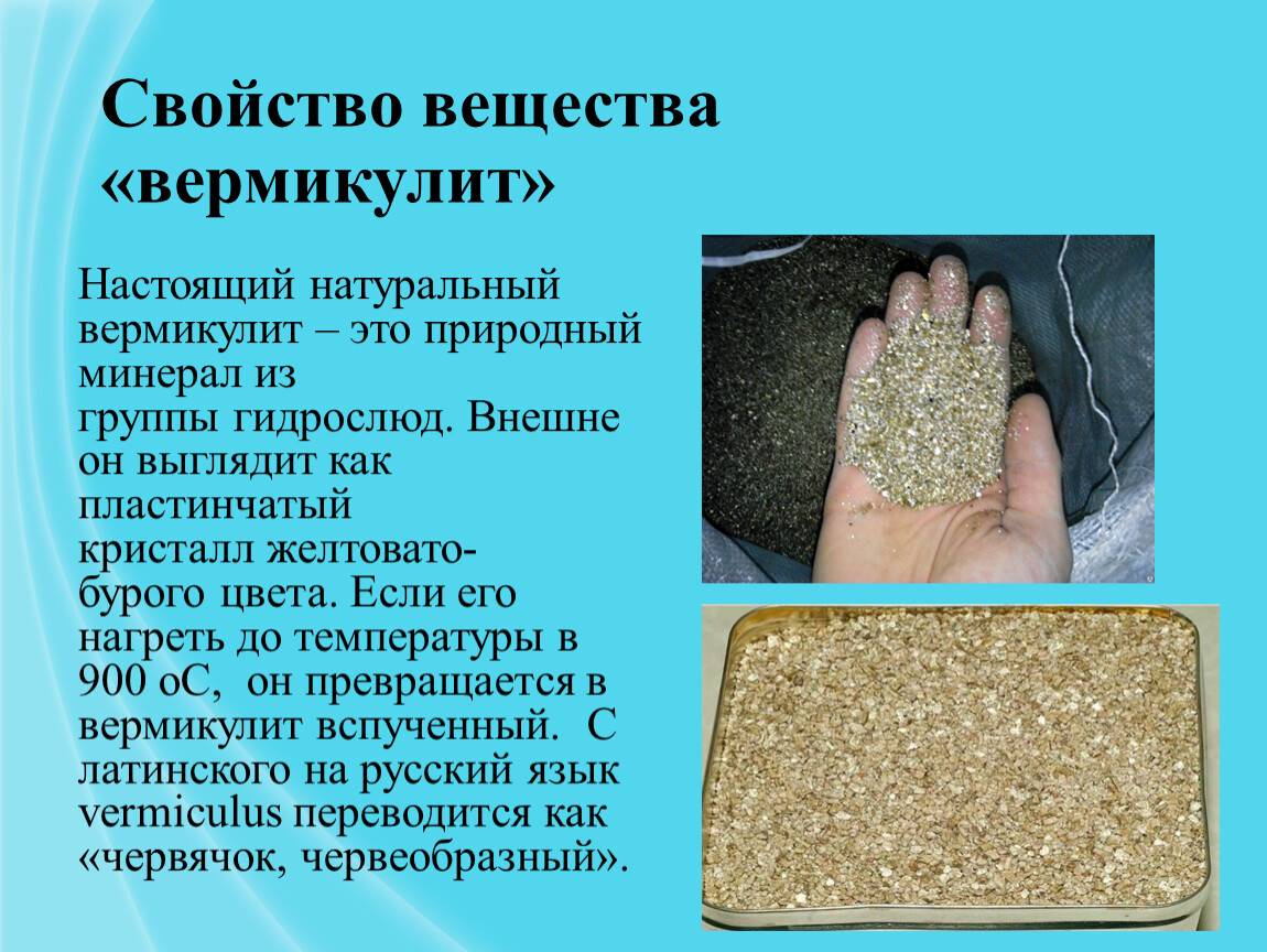 Перлит и вермикулит в цветоводстве: в чем разница и как правильно их использовать?