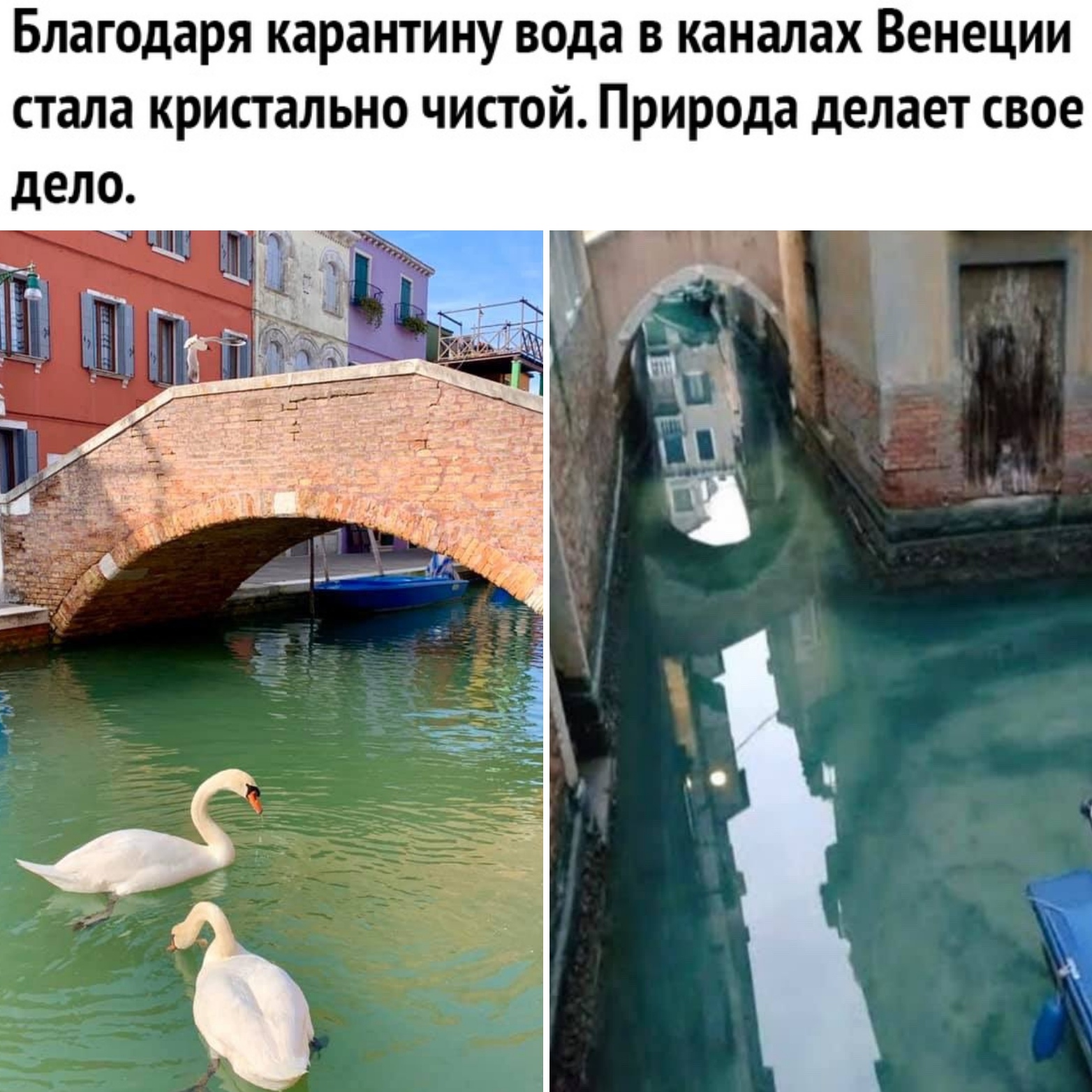 Чем заняться дома во время карантина: полезные и интересные занятия для всей семьи -  - советы на joinfo.com