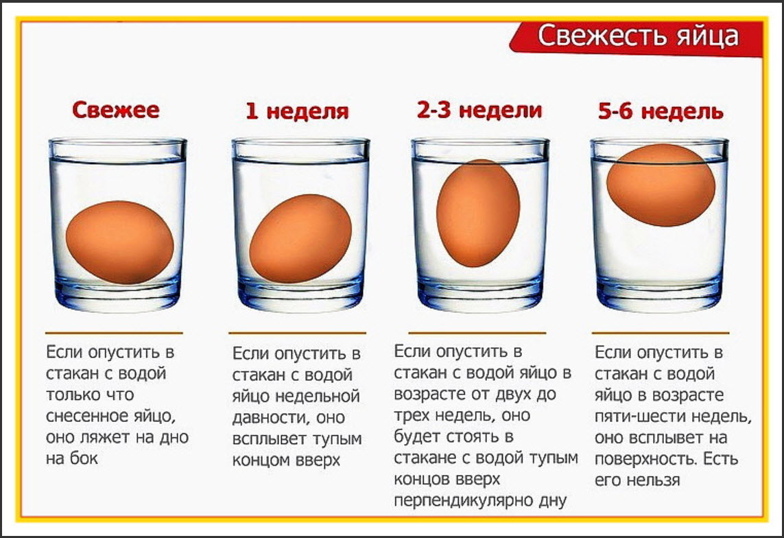 Температура и правила хранения яиц