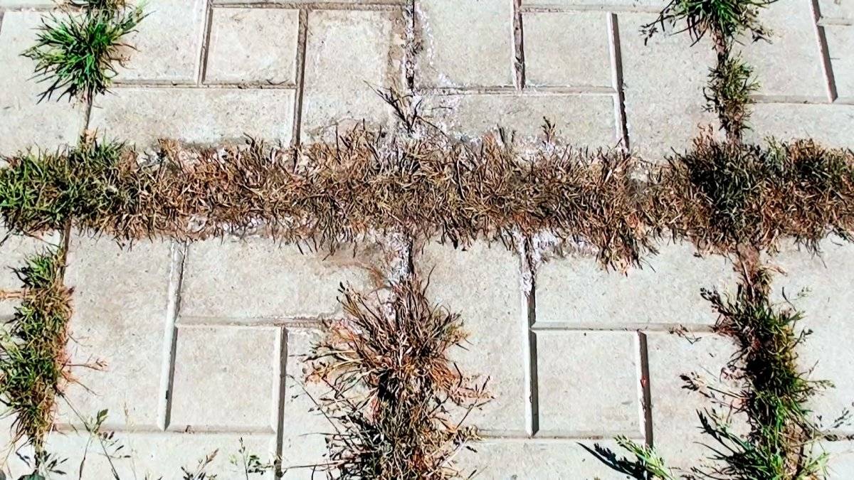 Как удалить траву между тротуарной плиткой