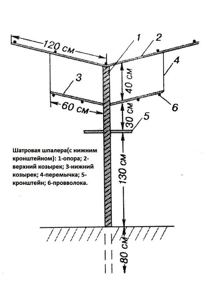 Для винограда опора из металла своими руками фото чертежи