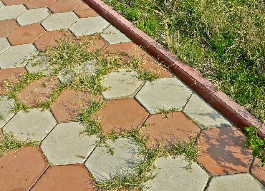 Как избавиться от травы между тротуарной плиткой: эффективные способы