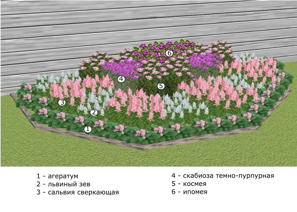 Планировка Посадки Фото