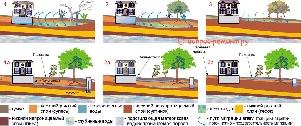 Дренаж участка своими руками: устройство, схема