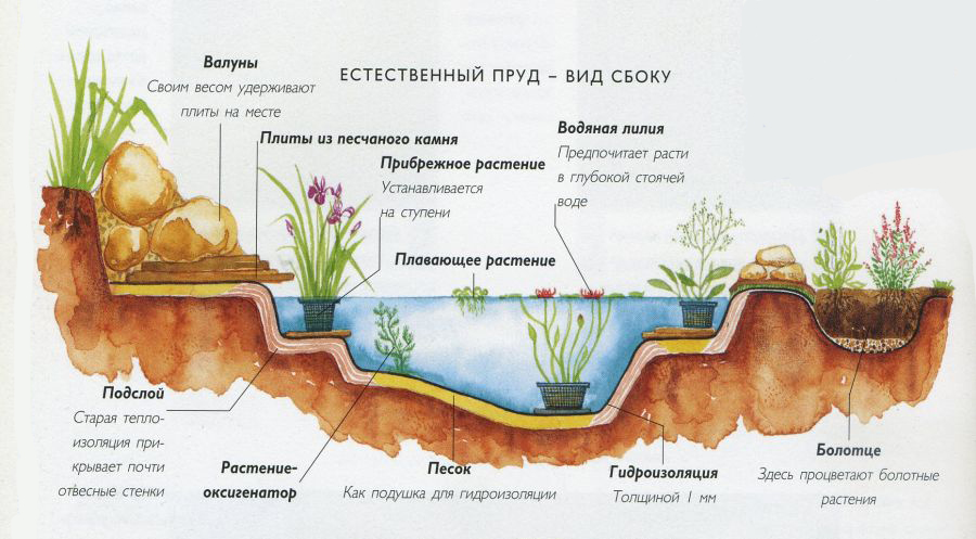 Пруд на даче своими руками: фото, материалы, идеи оформления и мастер-классы по созданию дачного пруда | крестик