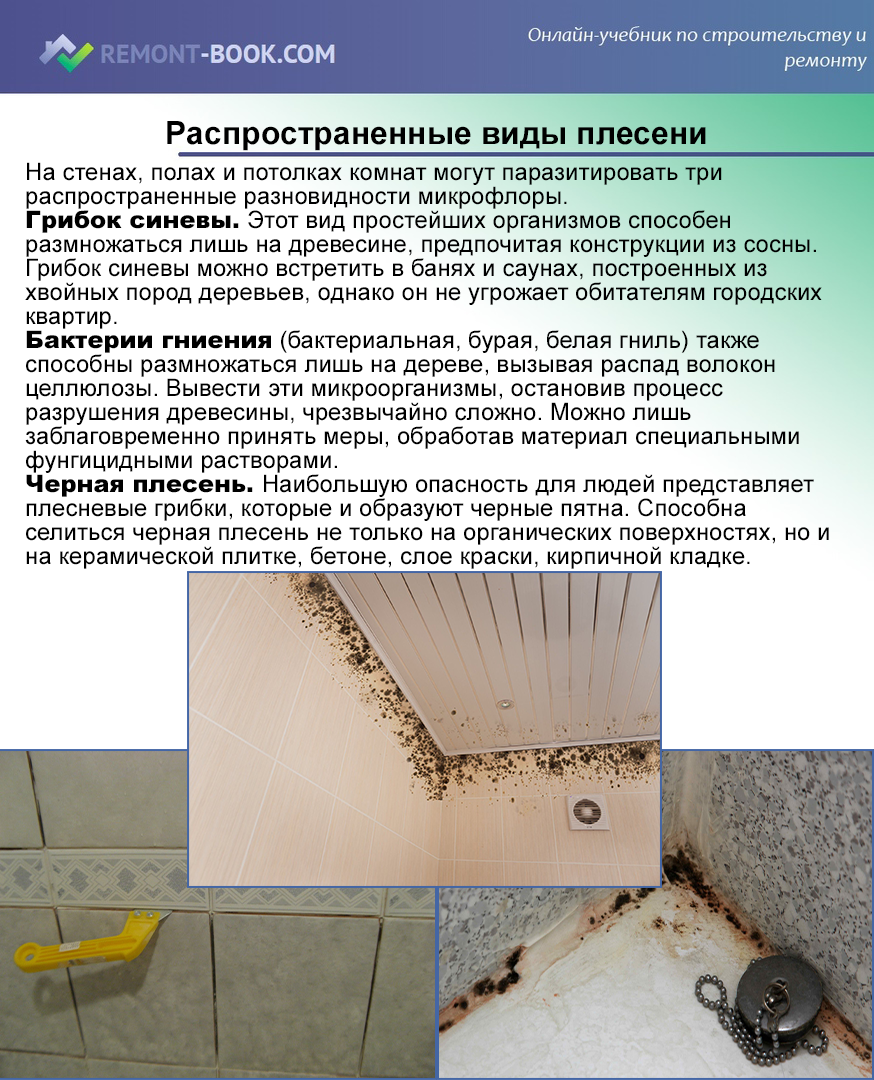 Как избавиться от сырости в ванной комнате: 10 действенных способов