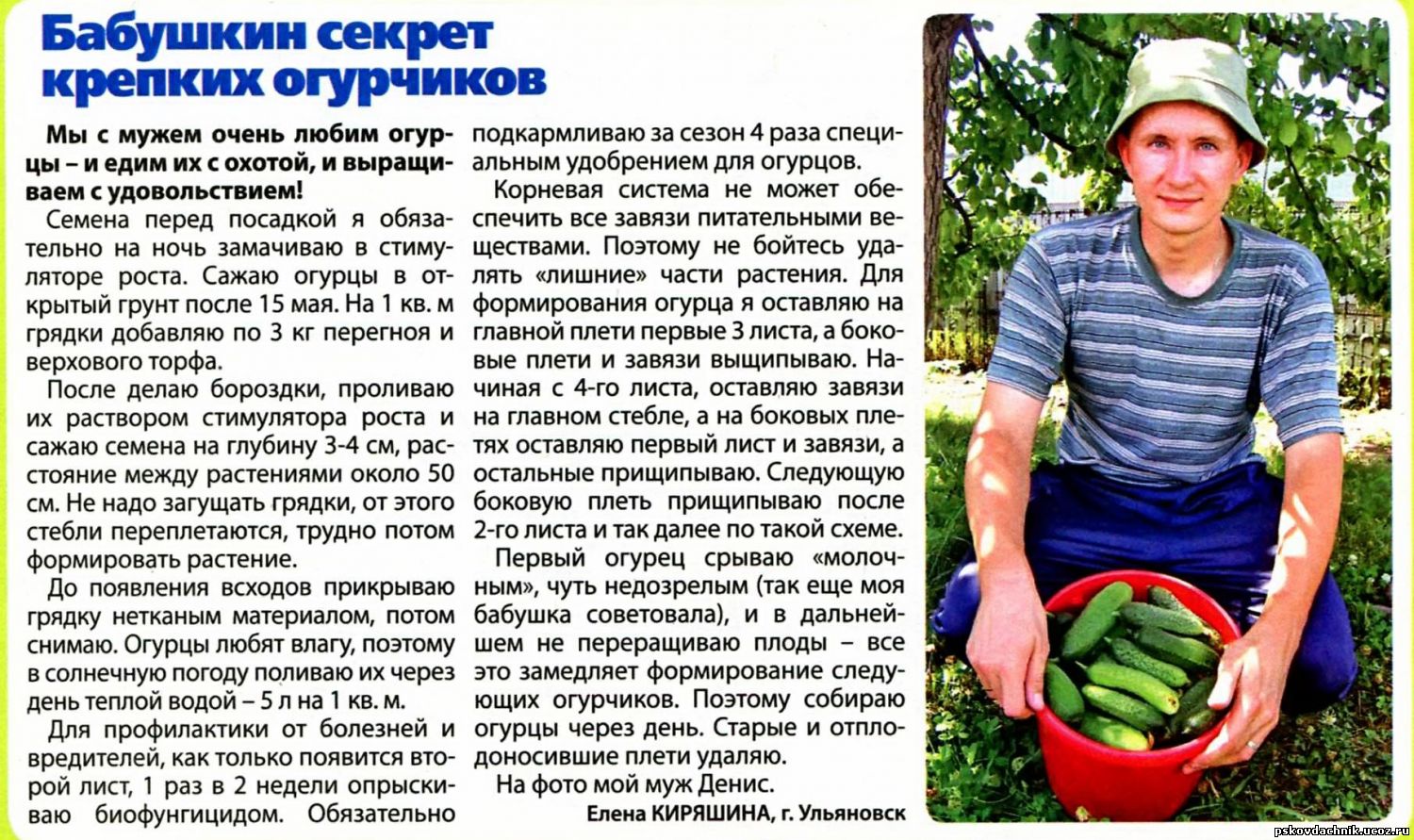 Органическое земледелие может ухудшить экологию, предупреждают ученые