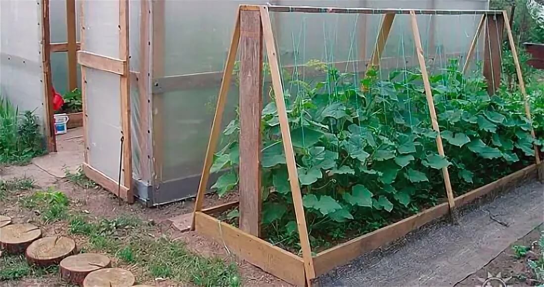 Парник из подручных материалов своими руками: лучшие идеи