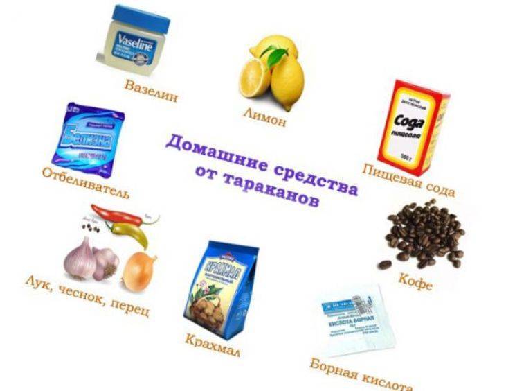 Как избавиться от тараканов в квартире навсегда инструкция