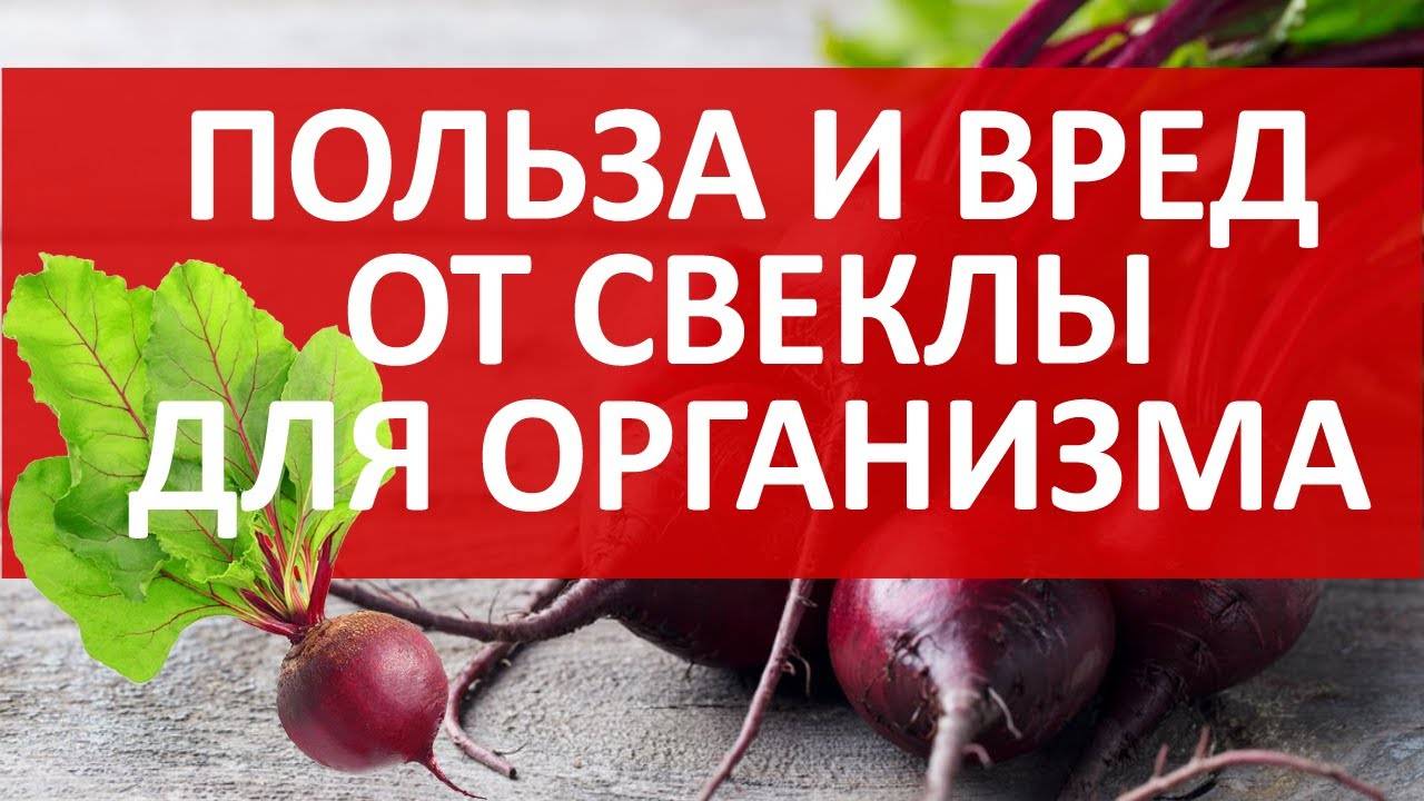 Что происходит, если есть свеклу каждый день
