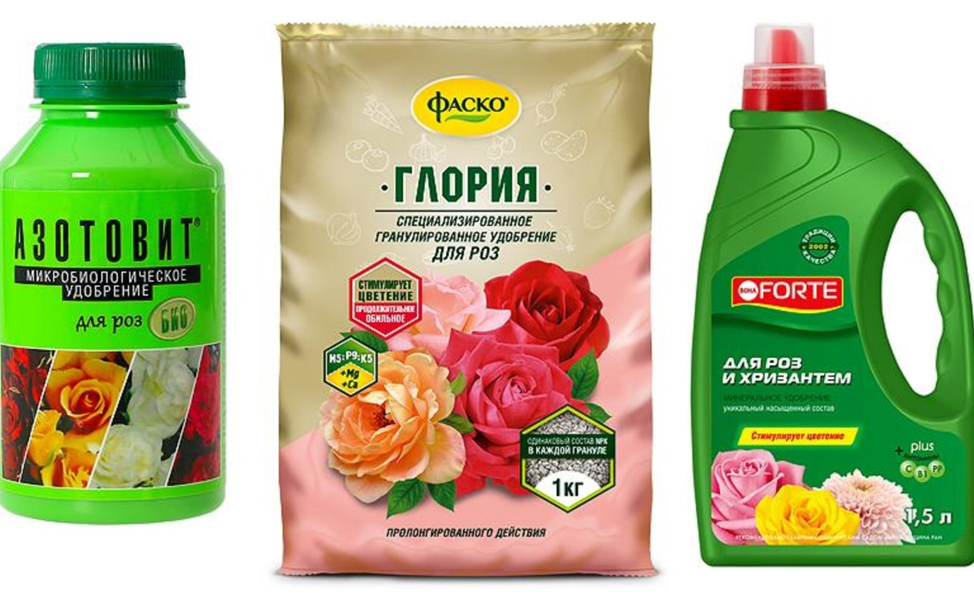 9 натуральных удобрений для домашних цветов. чем подкормить комнатные растения – выбираем идеальные удобрения для цветов на подоконнике