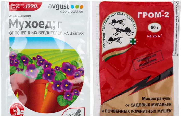Мошки в цветочных горшках - причины появления и способы борьбы