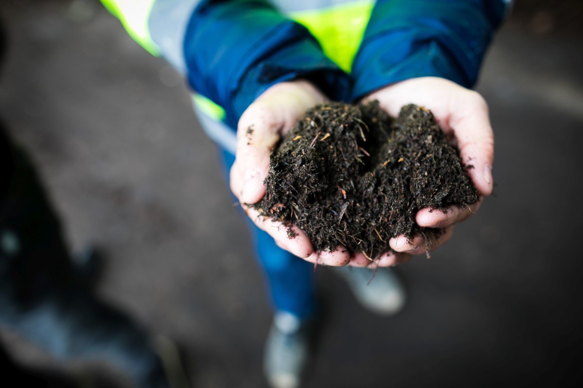 Созревание компоста: методы работы с сырьем и ускорители компостирования