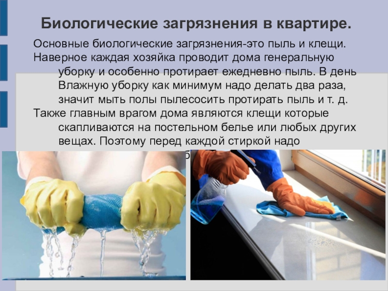 Как избавиться от пыли надолго: правила эффективной уборки