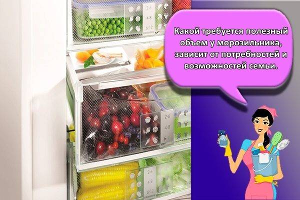 Рейтинг лучших морозильных камер 2021 - 2022 г