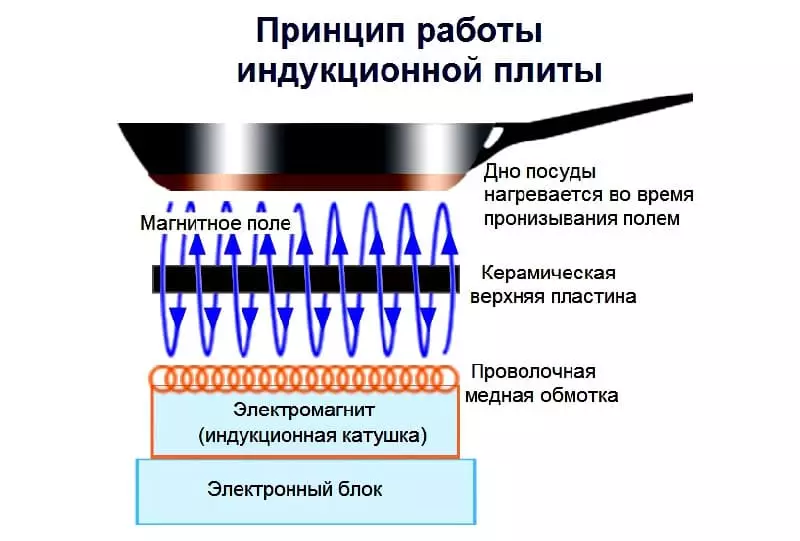 Индукционная и электрическая варочные панели: чем отличаются, как выбрать подходящую поверхность
