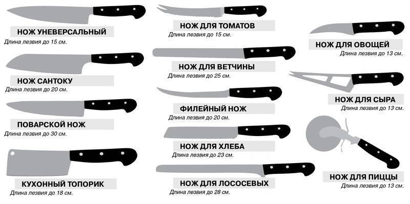 Лучшие кухонные ножи: как выбрать качественный и долговечный нож?