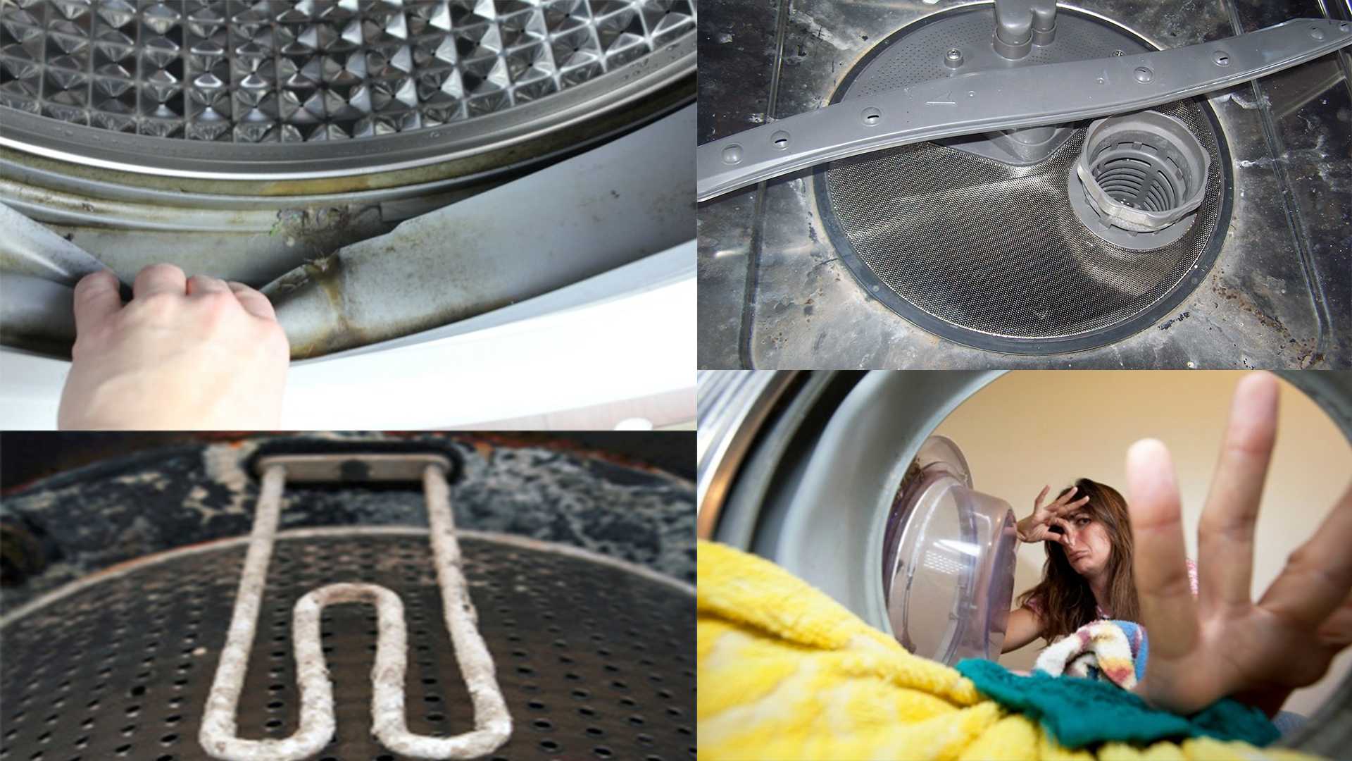 Как почистить стиральную машину автомат от грязи проверенными средствами