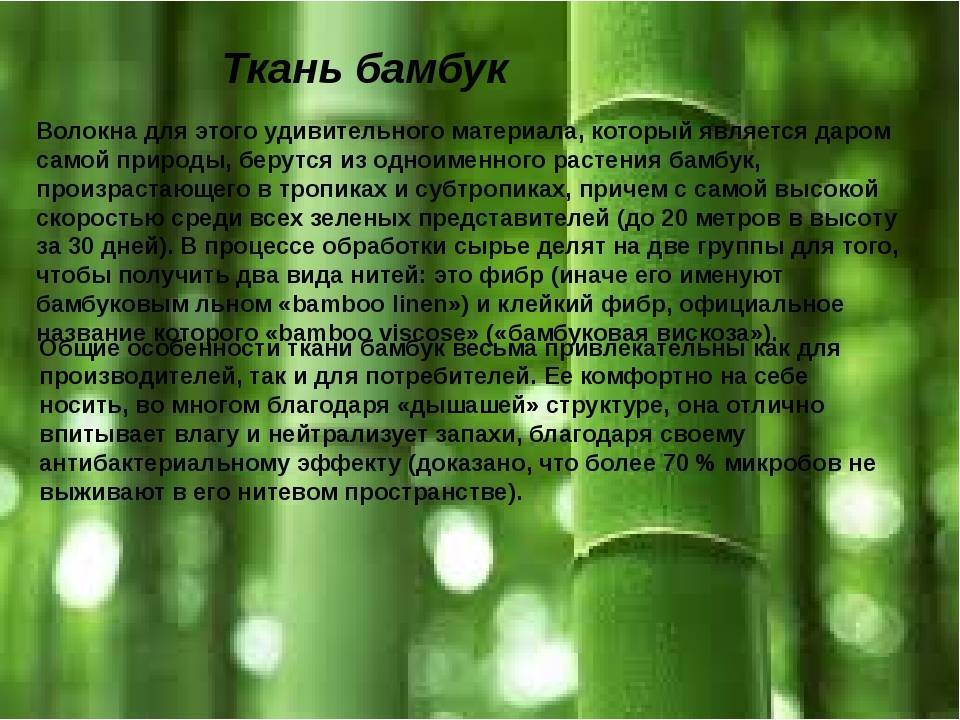 Посуда из бамбука — тарелки, миски, кружки из бамбукового волокна в домашнем обиходе