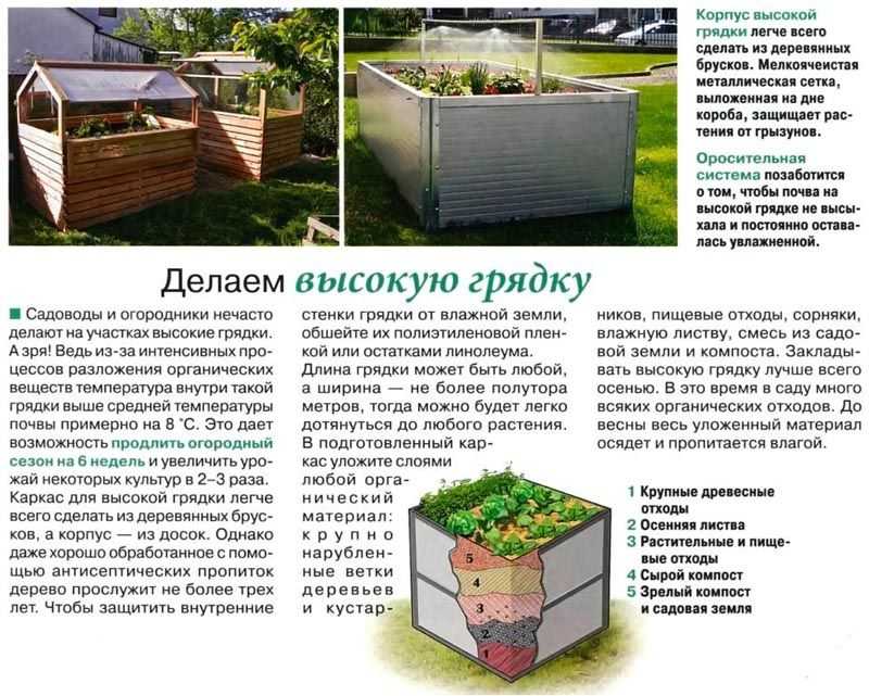 Из чего сделать высокие грядки: топ-7 популярных материалов