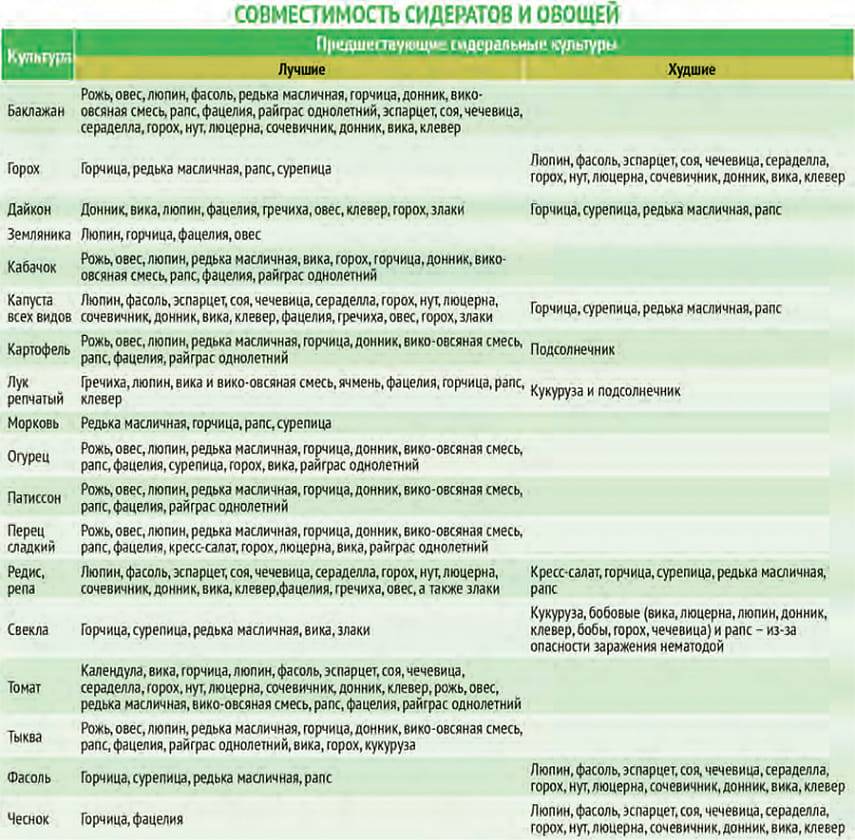 Топ-10 лучших сидератов в 2023г. (+нормы высева)