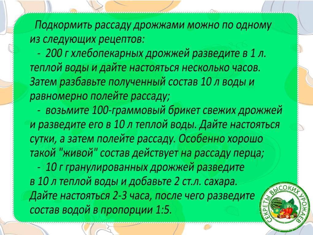Дрожжевая подкормка для растений: рецепт приготовления раствора