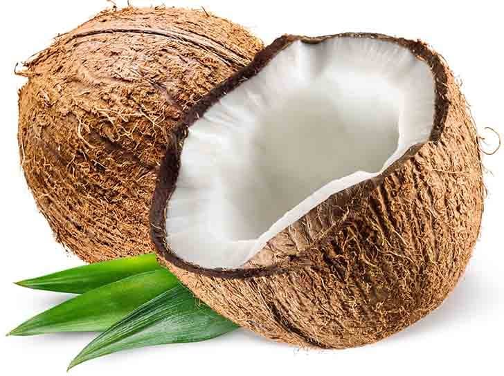 Применение кокосовой скорлупы на производстве: уголь, фильтр для самогона и многое другое, а также какие поделки можно сделать в своими руками в домашних условиях