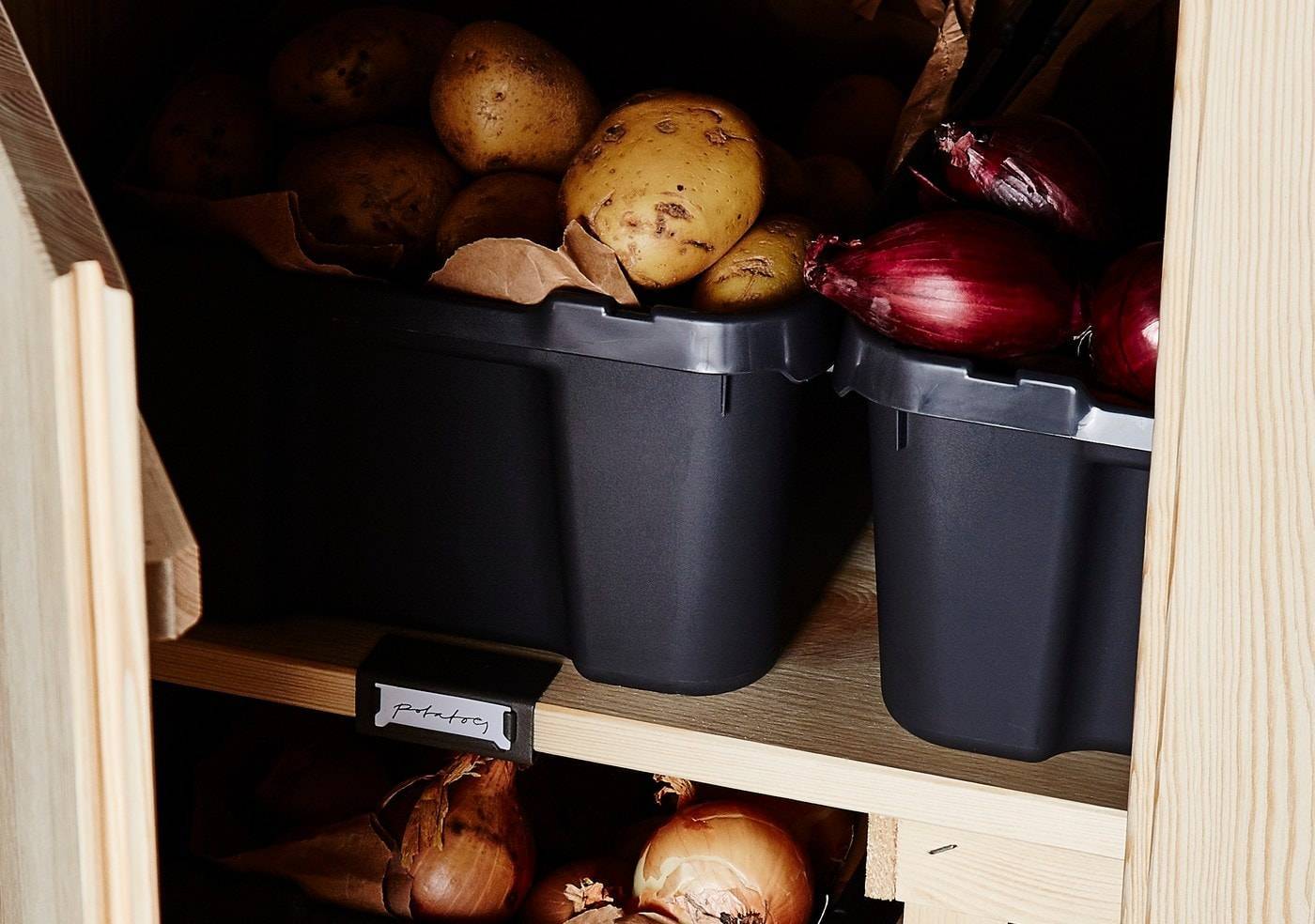 7 базовых правил хранения картофеля в квартире, если погреба нет, а урожай есть