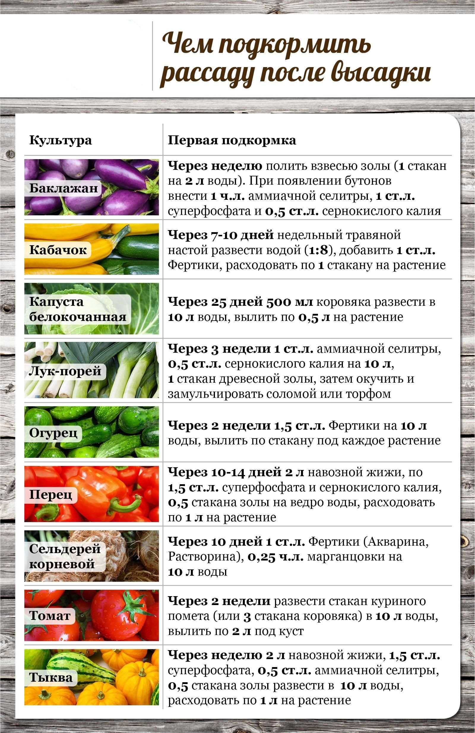 10 полезных примеров использования марганцовки в саду, которые пригодятся каждому дачнику