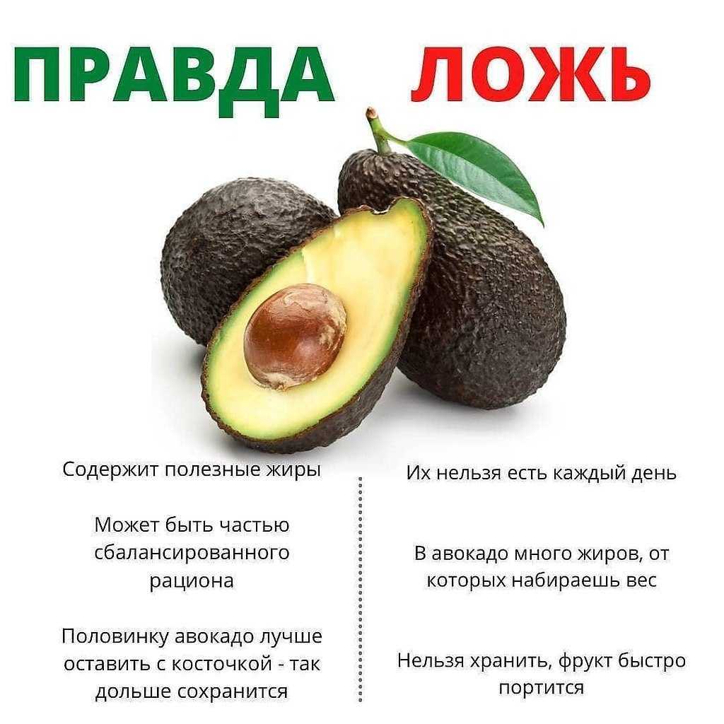 Содержание жира в авокадо на 100 грамм. Авокадо. Чем полезен авокадо. Авокадо полезные свойства. Чем полезно авокадо.