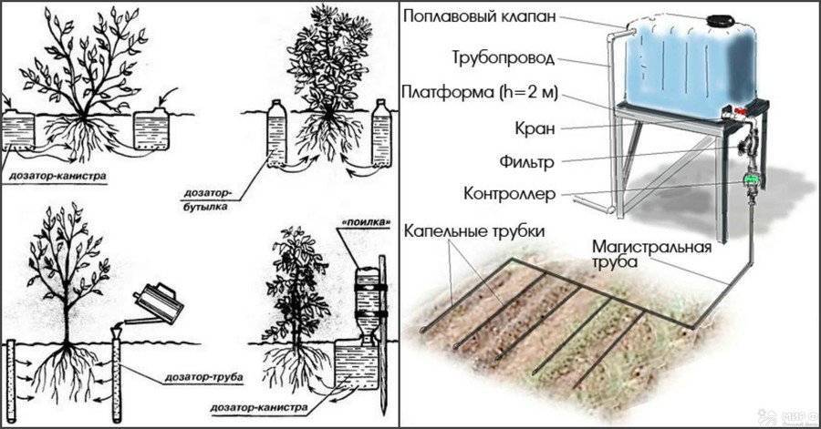 Капельный полив 💦 своими руками из пластиковых бутылок для дачи в теплице