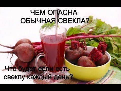Какая свёкла полезнее для организма человека – варёная или сырая