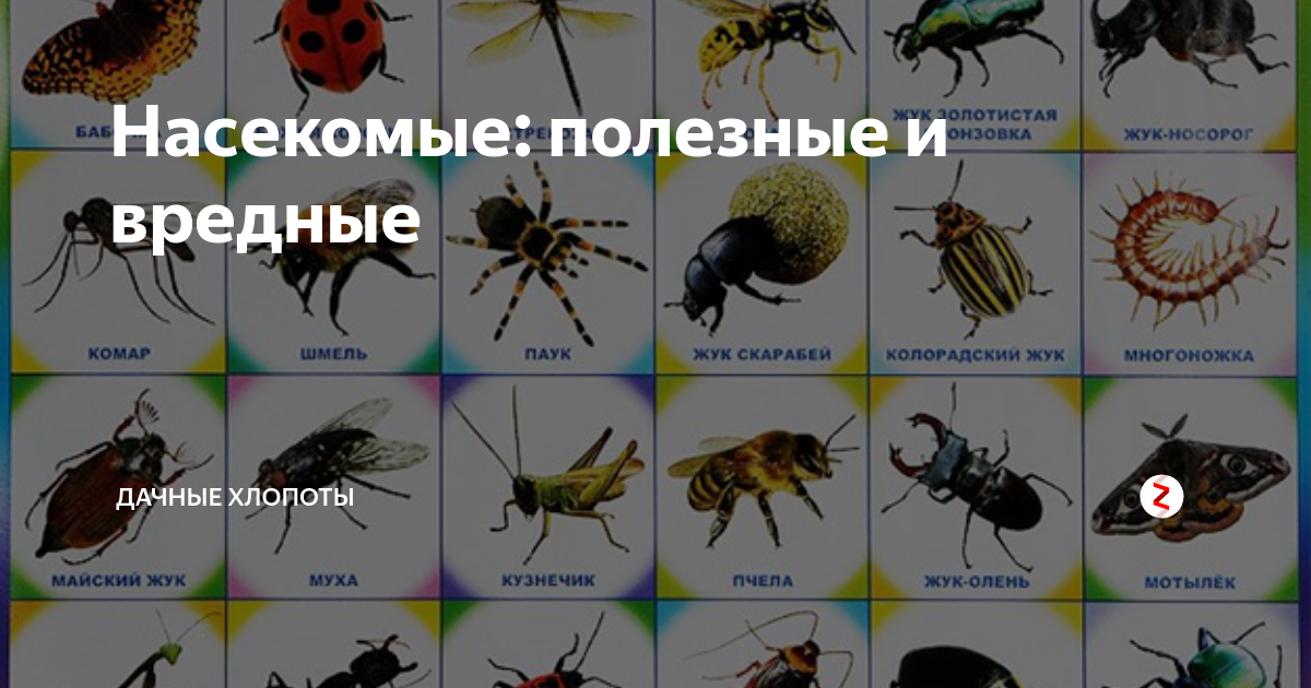 Полезные насекомые. большая энциклопедия дачника