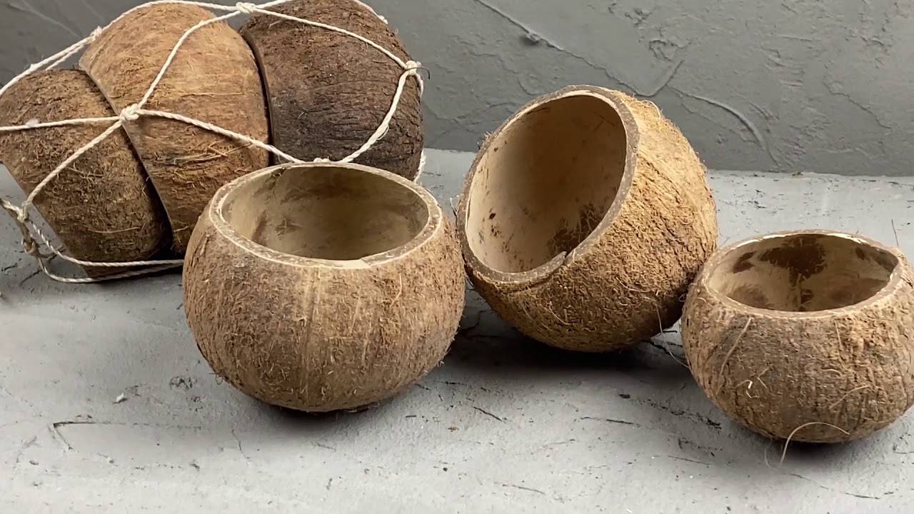 Как найти кокос в симс 4: подробный гид по поиску и использованию