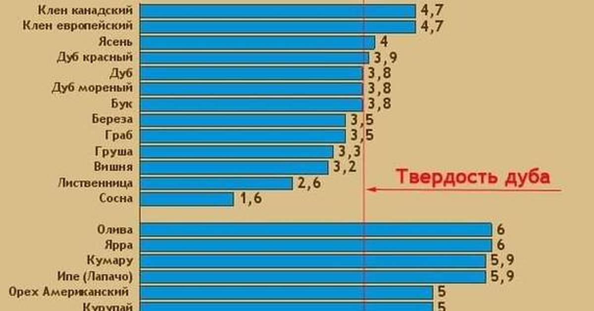 Топ 10 самых твердых пород древесины