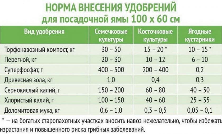 Растения для сырых и болотистых участков