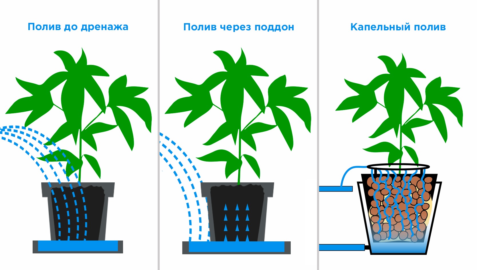 Полил какой корень. Способы полива растений. Схема полива цветов. Полив в поддон комнатные растения. Методы полива комнатных растений.