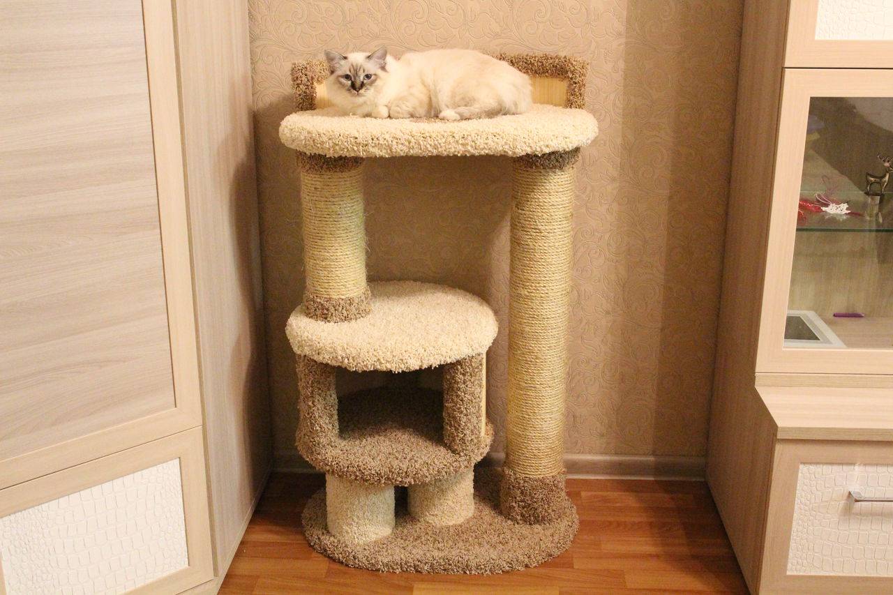 Домик и когтеточка из ковролина для кошки: инструкция