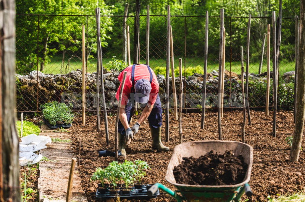 6 действенных способов ускорить созревание компоста