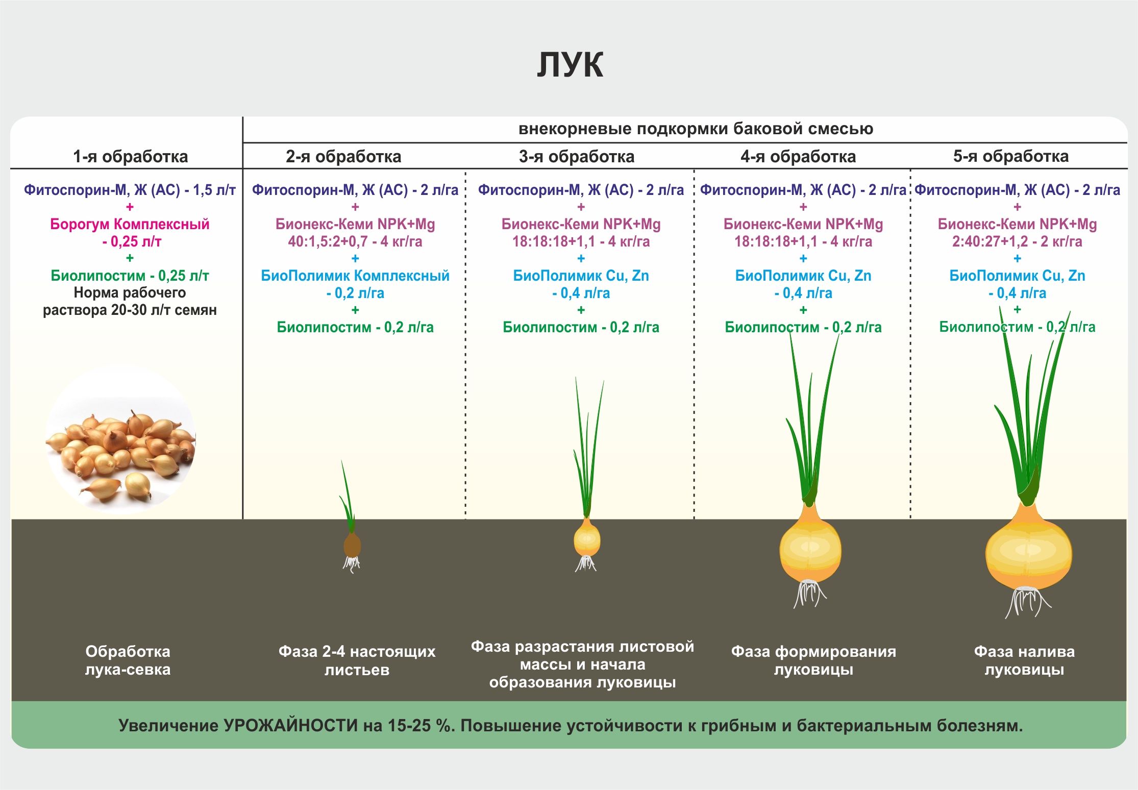 Схема посадки семян