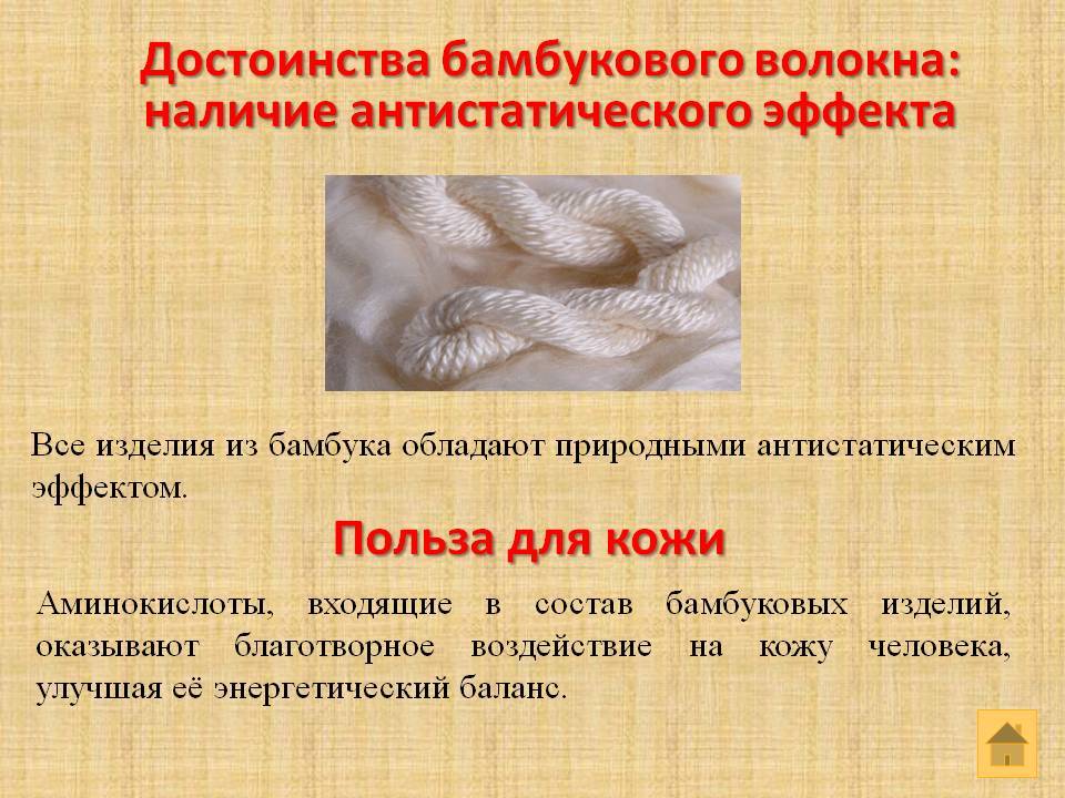 Полезная информация о бамбуке. одеяла и подушки из бамбука. | www.podushka.net