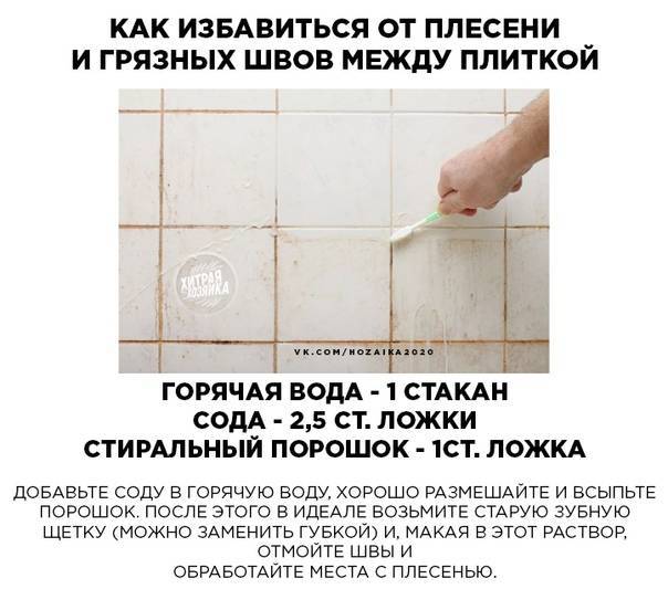 Плесень в ванной - что делать, как убрать и избавиться полностью (средства)