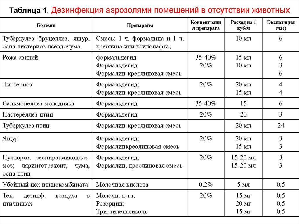 Как правильно проводить дезинфекцию помещения — настоящая находка в условиях карантина