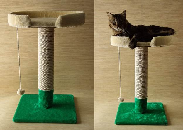 Как отвадить кошек от запретных предметов мебели