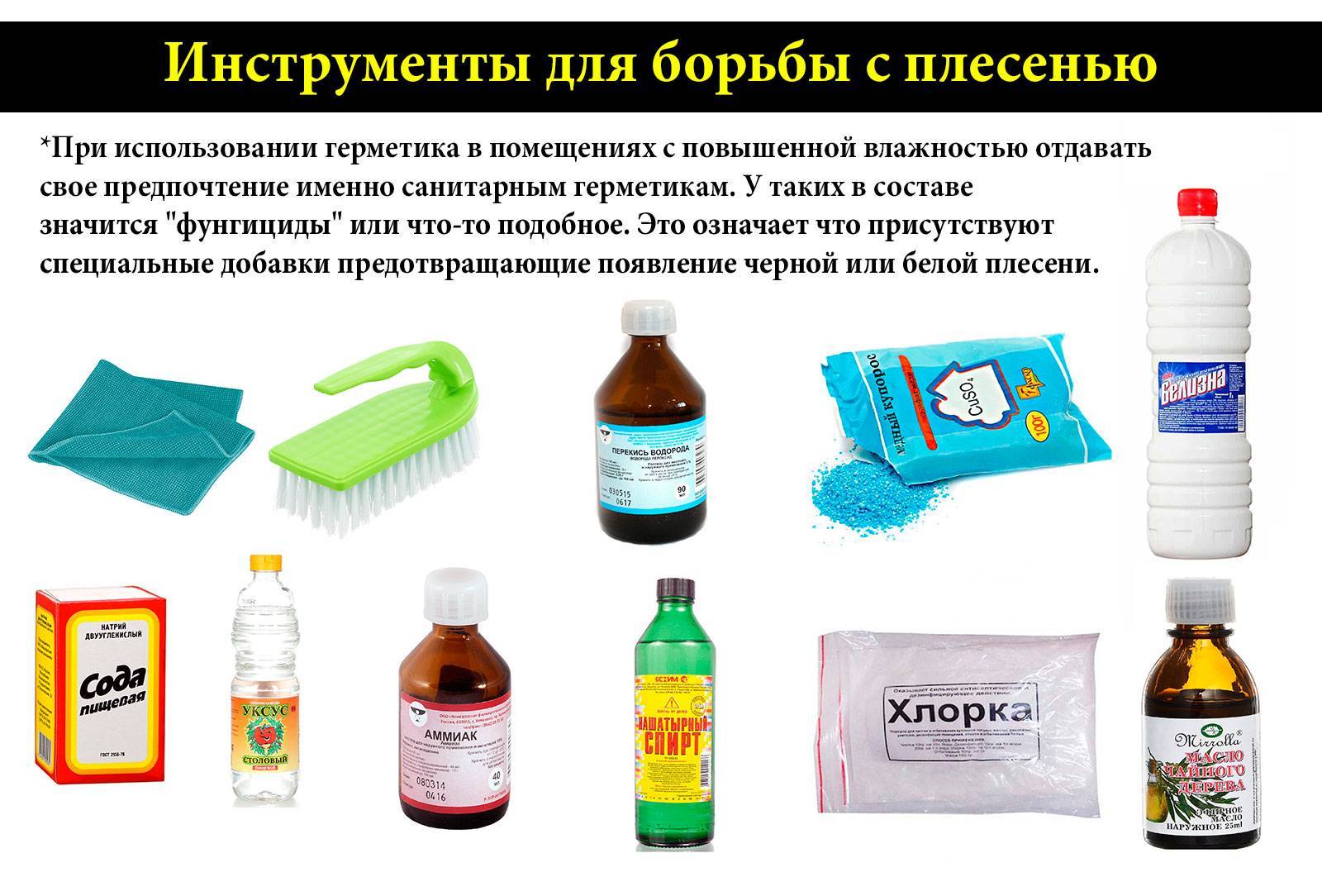 Черная плесень в доме: чем опасна и как от нее избавиться