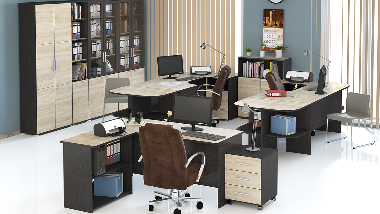 Виды офисных шкафов: как выбрать и где расположить?