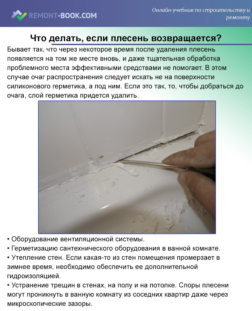 Как удалить сырость. Плесень на швах плитки. Плесень на стыках в ванной. Плесень в ванной на швах плитки.